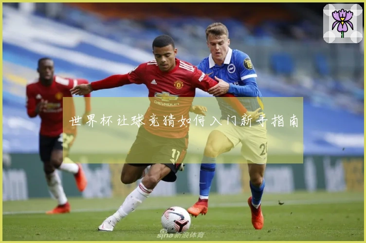世界杯让球竞猜如何入门新手指南