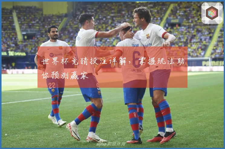 世界杯竞猜投注详解，掌握玩法助你预测赢家