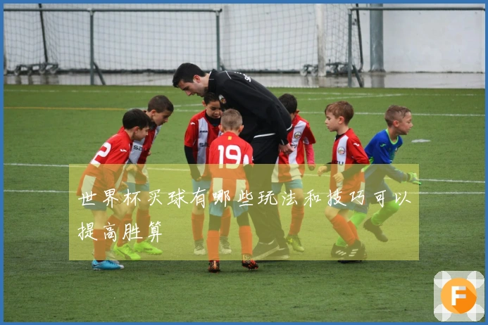 世界杯买球有哪些玩法和技巧可以提高胜算