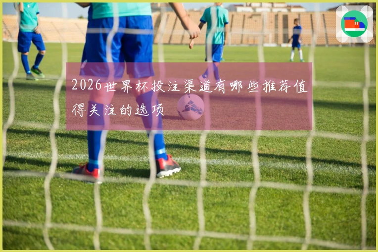 2026世界杯投注渠道有哪些推荐值得关注的选项