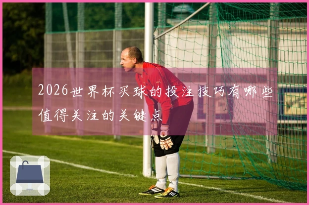 2026世界杯买球的投注技巧有哪些值得关注的关键点