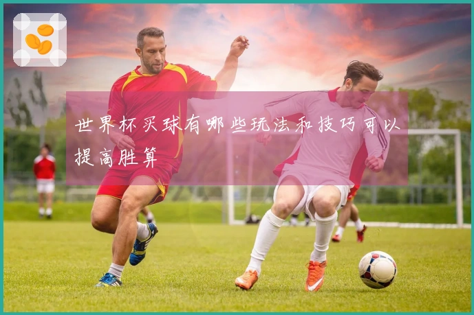 世界杯买球有哪些玩法和技巧可以提高胜算