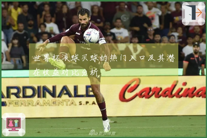 世界杯滚球买球的热门入口及其潜在收益对比分析