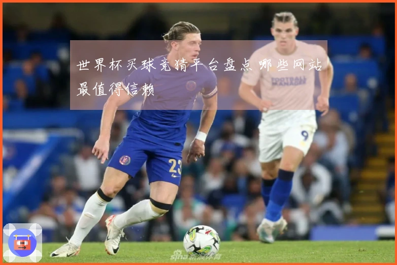世界杯买球竞猜平台盘点 哪些网站最值得信赖
