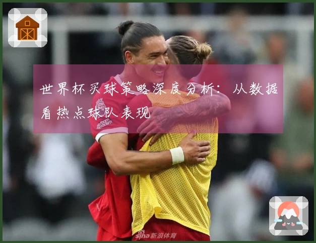 世界杯买球策略深度分析：从数据看热点球队表现