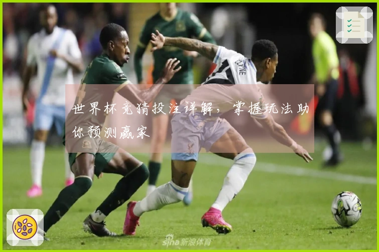 世界杯竞猜投注详解，掌握玩法助你预测赢家