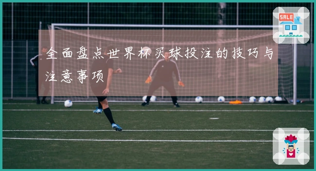 全面盘点世界杯买球投注的技巧与注意事项