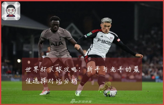 世界杯买球攻略：新手与老手的最佳选择对比分析