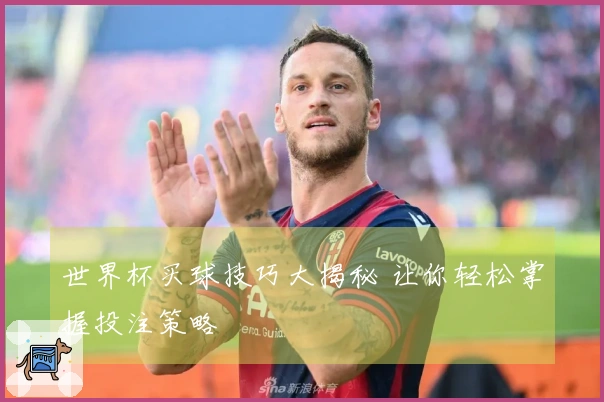 世界杯买球技巧大揭秘 让你轻松掌握投注策略