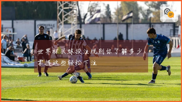 世界杯买球投注规则你了解多少，掌握这些轻松下注