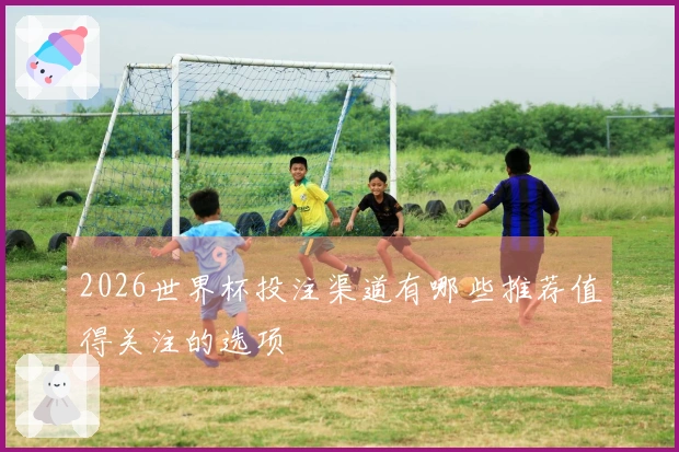 2026世界杯投注渠道有哪些推荐值得关注的选项